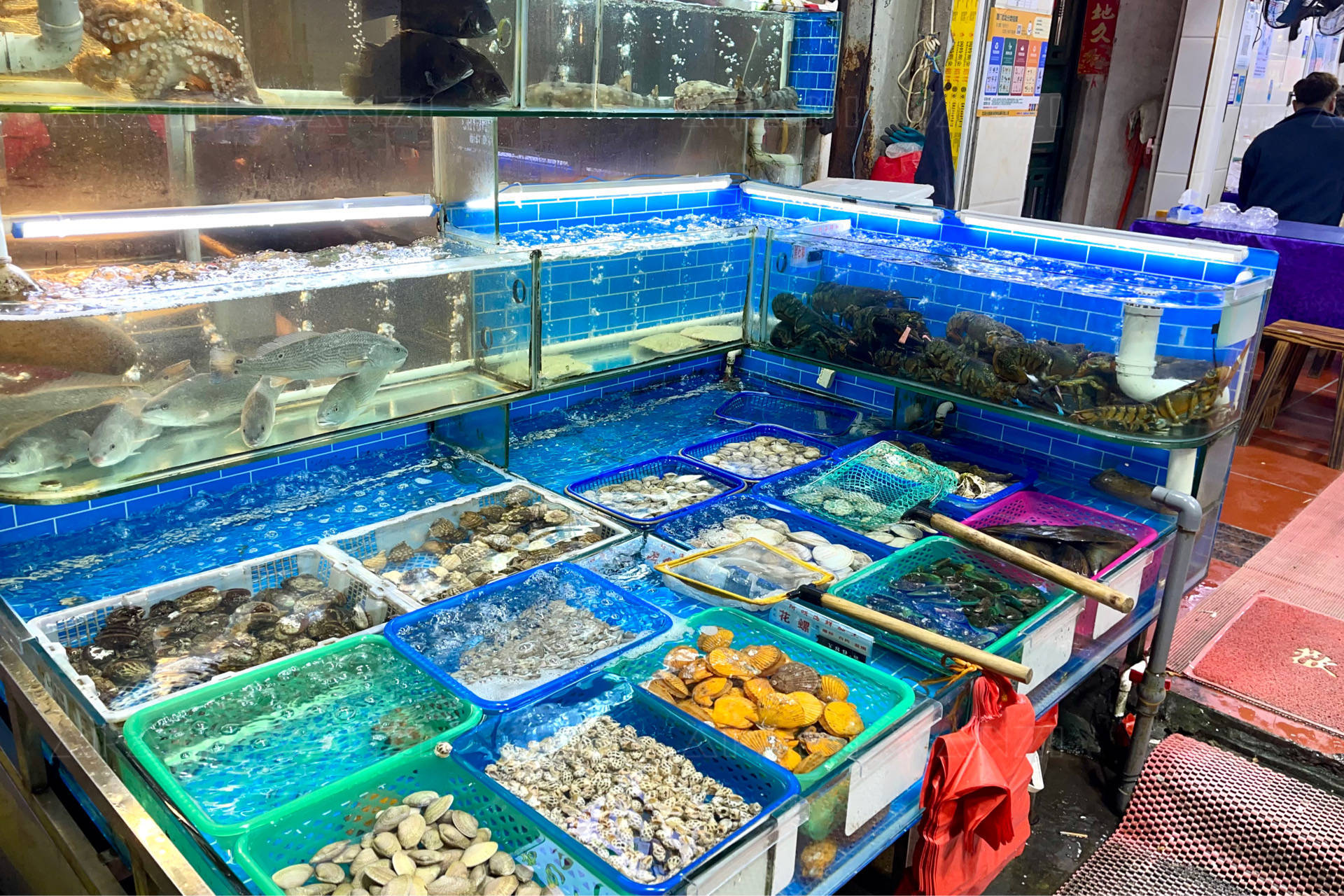 廈門八市里的珍饈 鑲金包銀養(yǎng)殖巴浪魚，海鮮加工店的獨(dú)特風(fēng)味