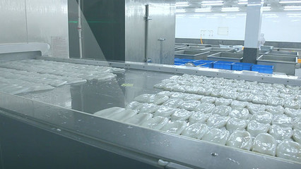 海產品加工 從海洋到餐桌，主圖素材的藝術與科學