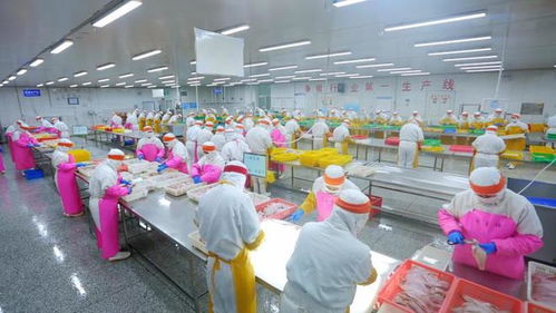 好品山東穿越疫情 中國最大海產(chǎn)品加工外貿(mào)企業(yè)的“九條命”銷售之道